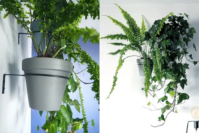 Gdzie można kupić kwietniki: najlepsze miejsca i wyjątkowe oferty.