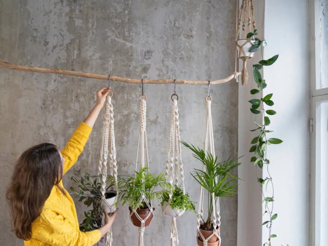 Jaki sznurek do kwietnika wybrać? Kluczowe porady i wskazówki.