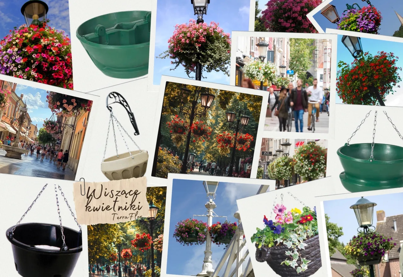 Jakie kwiaty do kwietnika z palet wybrać, by zachwycić sąsiadów?