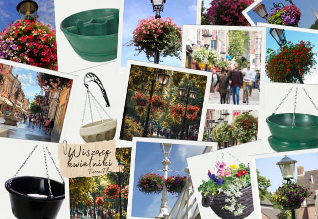 Jakie kwiaty do kwietnika z palet wybrać, by zachwycić sąsiadów?