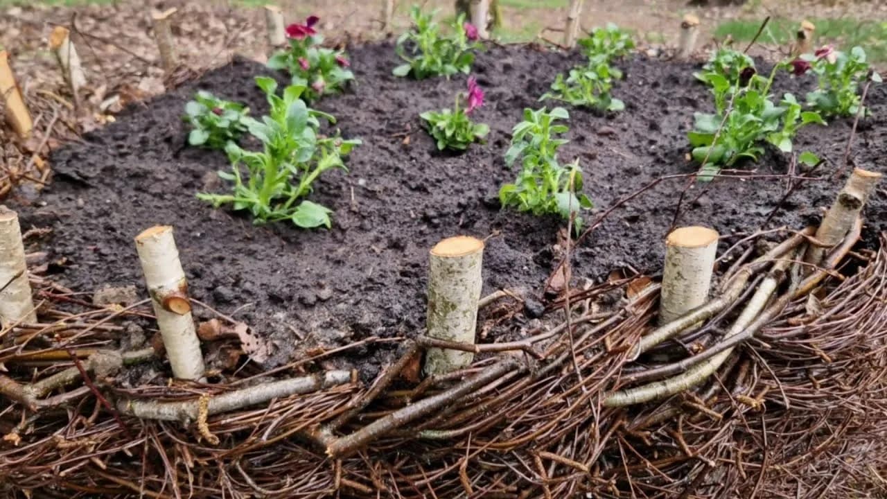 Jak zrobić kwietnik z brzozy - krok po kroku do pięknego ogrodu