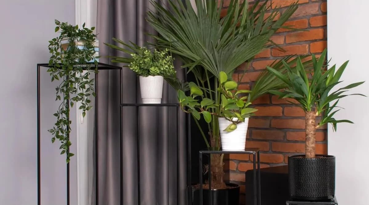 Jakie kwiaty do kwietnika wybrać, by cieszyć oko i łatwo dbać?