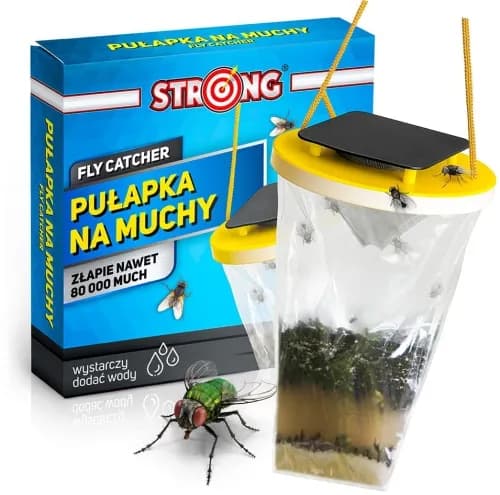 Skuteczne metody na muchy na tarasie: rośliny, pułapki i preparaty