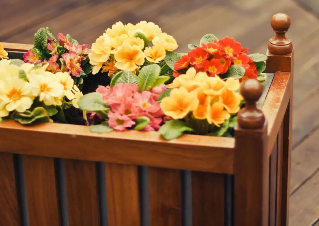 Z czego zrobić kwietnik? Najlepsze materiały i kreatywne pomysły na jego wykonanie