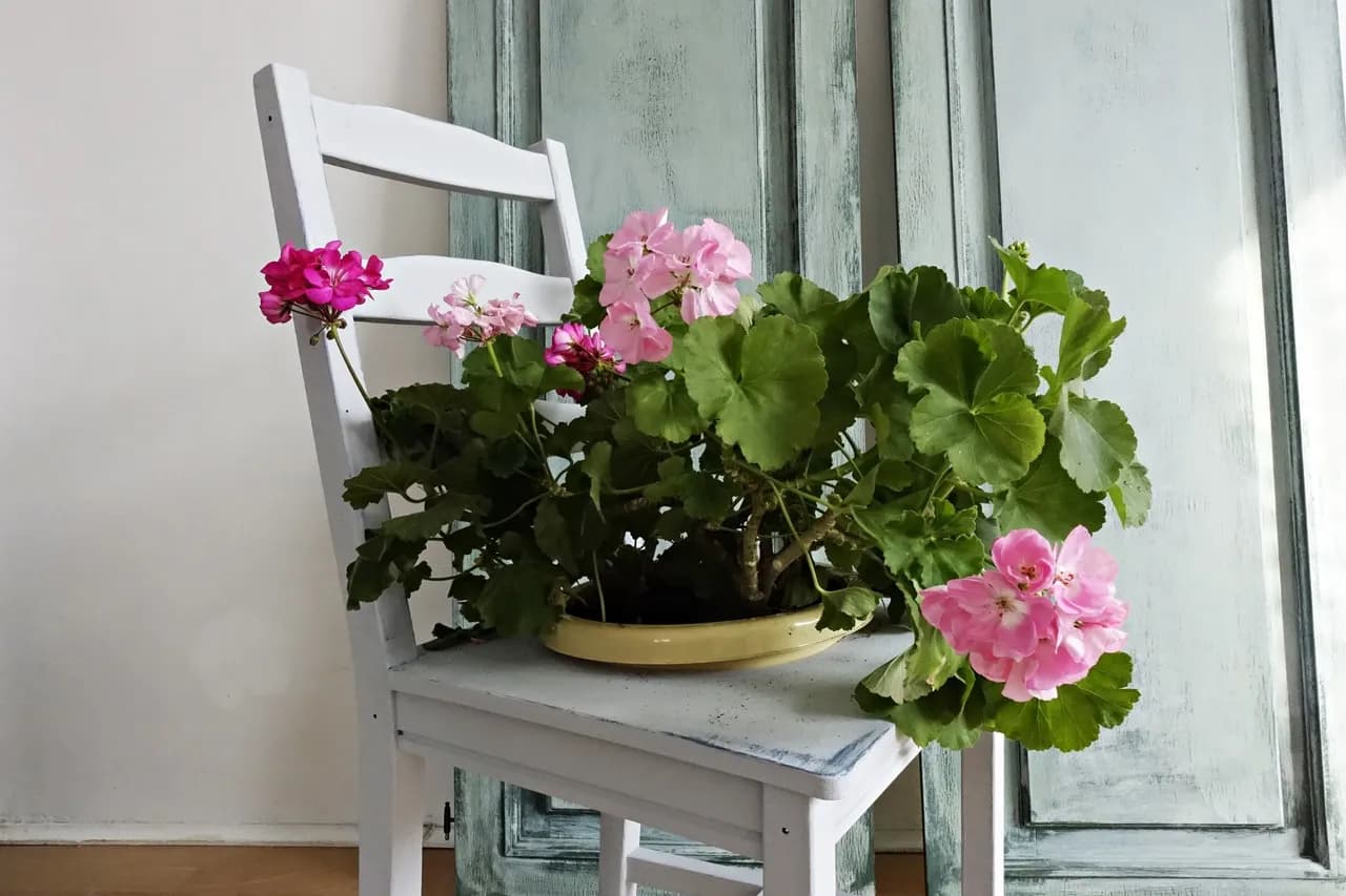 Jak zrobić kwietnik z krzesła - proste sposoby na metamorfozę mebli