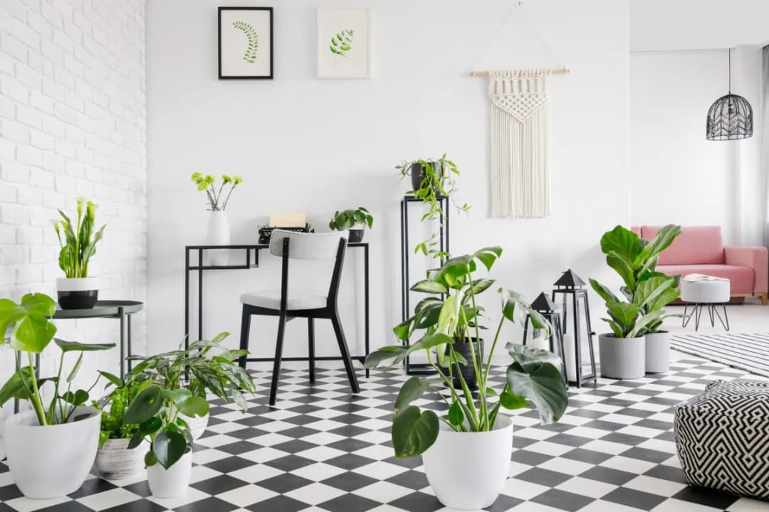 Jaki kwietnik do salonu wybrać, aby ożywić swoje wnętrze?