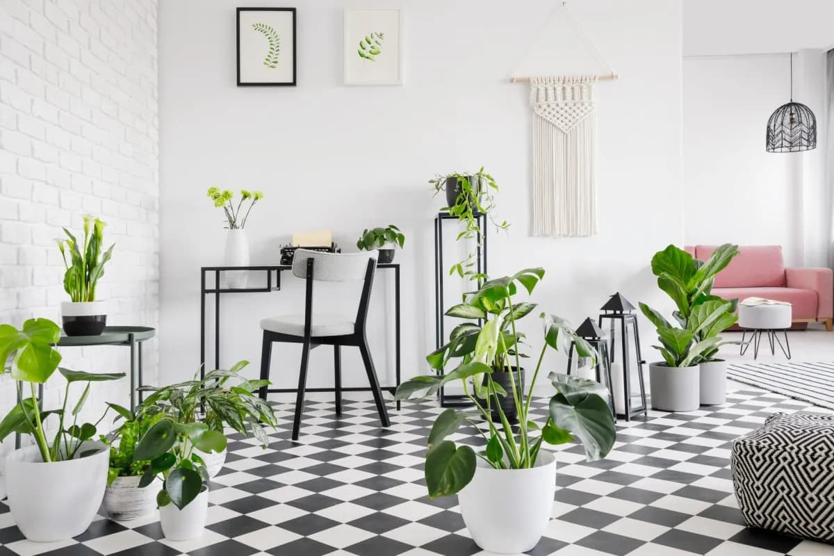 Jaki kwietnik do salonu wybrać, aby ożywić swoje wnętrze?