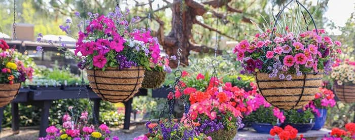 Jakie kwiaty wiszące na taras wybierać, aby stworzyć piękną aranżację?